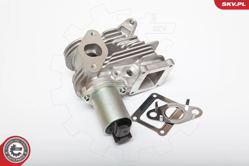 EGR Valve